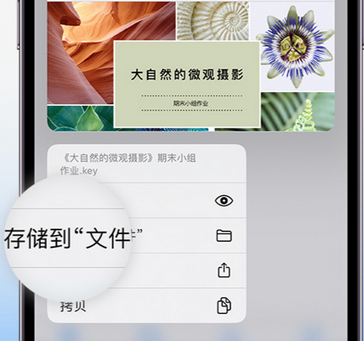 延吉apple维修中心分享iPhone文件应用中存储和找到下载文件