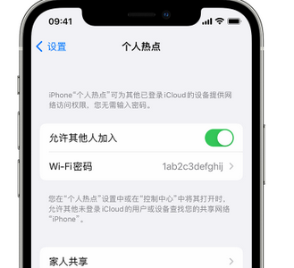 延吉apple服务站点分享iPhone上个人热点丢失了怎么办