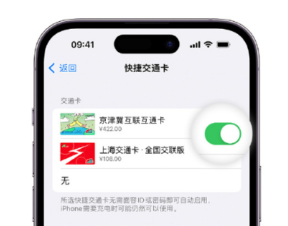 延吉apple维修点分享iPhone上更换Apple Pay快捷交通卡手绘卡面 