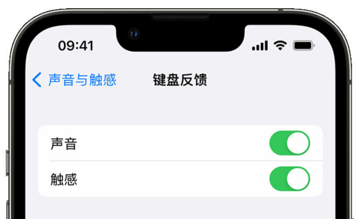 延吉苹果手机维修分享iPhone 14触感键盘使用方法 