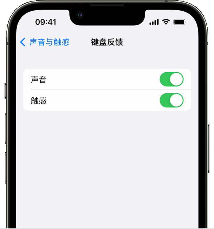 延吉苹果14维修店分享如何在 iPhone 14 机型中使用触感键盘 