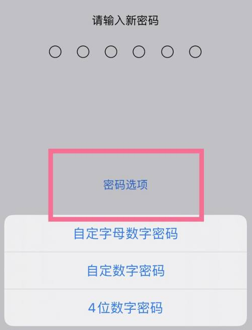 延吉苹果14维修分享iPhone 14plus设置密码的方法 