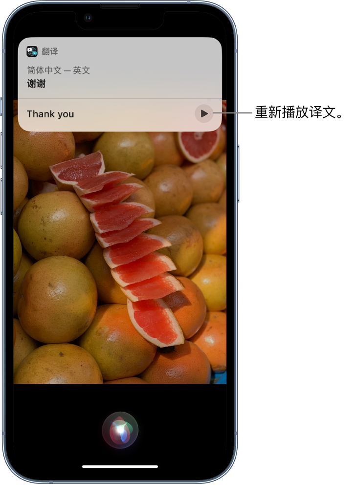 延吉苹果14维修分享 iPhone 14 机型中使用 Siri：了解 Siri 能帮你做什么 