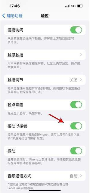 延吉苹果手机维修分享iPhone手机如何设置摇一摇删除文字 